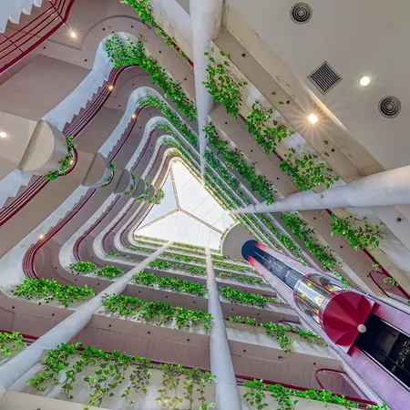 Senator 3* הואלבה